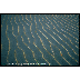 ripple patterns
