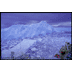 Muller Ice Shelf