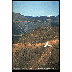 clearcut