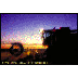 harvest