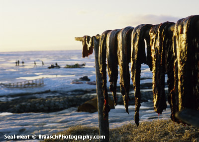 Seal meat