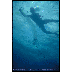 diver
