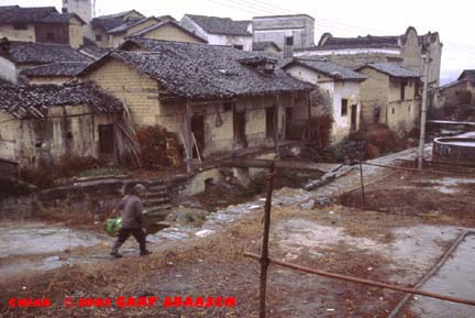 Plum Blossom, north Guangdong Province