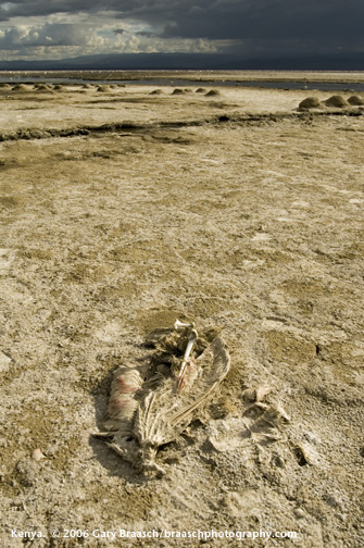 Lake Nakuru