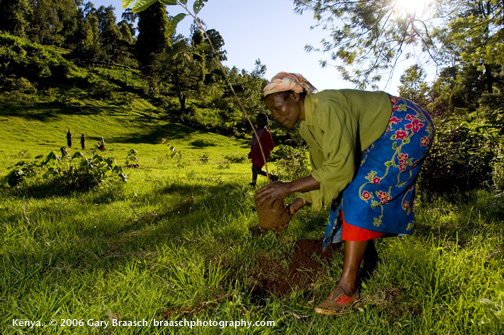 Woman of the Green Belt Movement