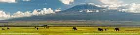 kenya