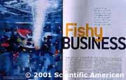 © 2001 Scientific American