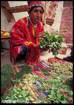 Inca Shaman