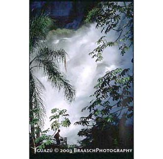 Iguazu overlook