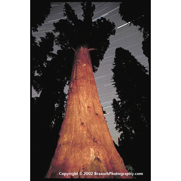 General Sherman