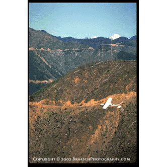 clearcut