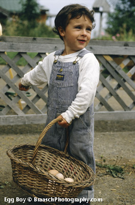 Organic. Food. Homegrown. Children.