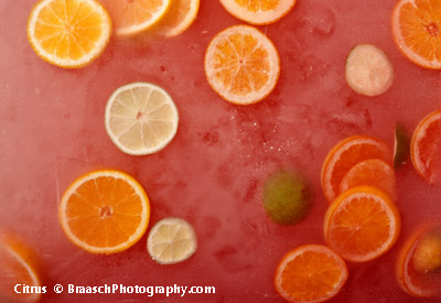 Lemonade with citrus slices