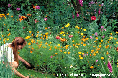 Woman tending garden