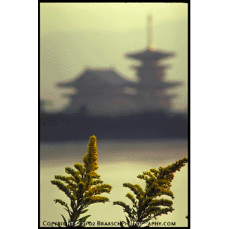 Temples of Yakushiji