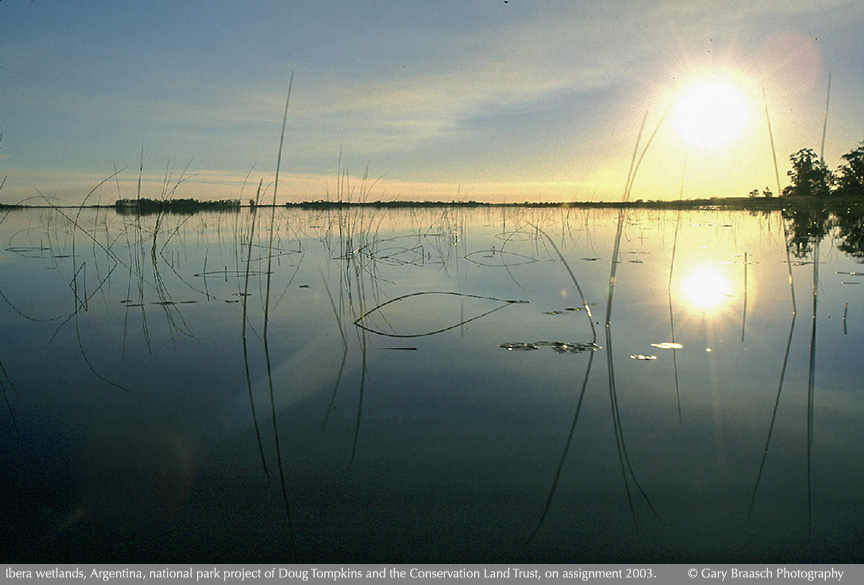 Ibera wetlands