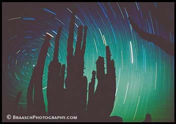 Stars. Cardon cactus. Night. Deserts. Sonoran Desert, Mexico. Skies. Time exposures. Silhouettes. Polaris. North Star. Patterns. Time. Space