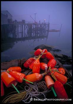 Maine. Lobstering. Atlantic coast