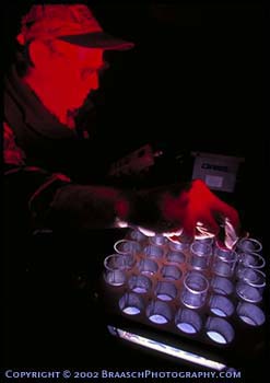 Research. Scientists. National Science Foundation. UV radiation study of seawater, Plamer Station Antarctica