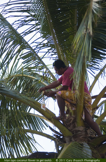 kiribati