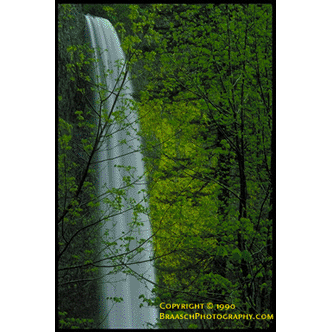 Latourell Falls