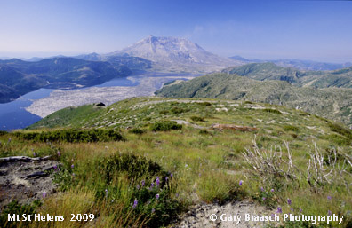 Mt. St. Helens 2000