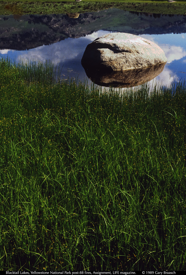 Yellowstone