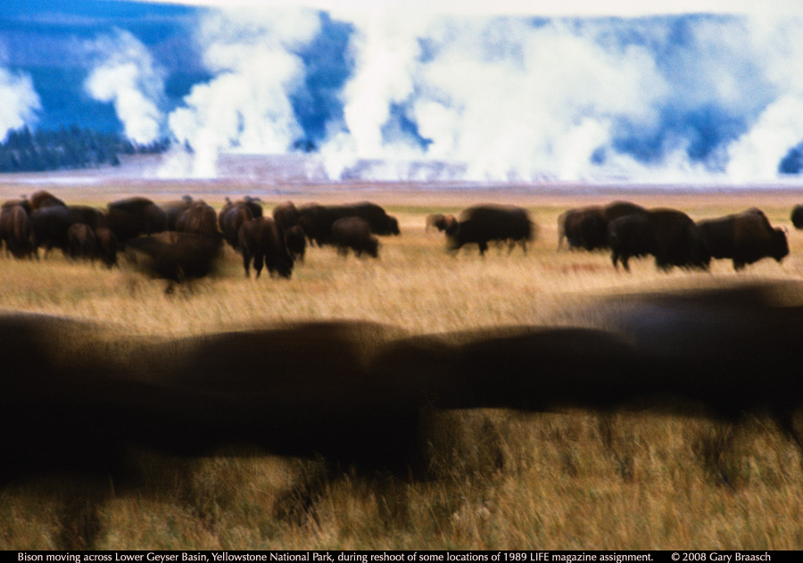 Yellowstone